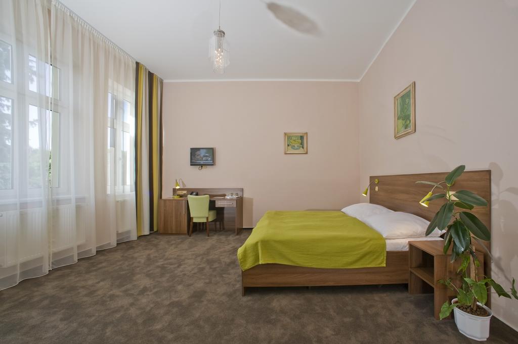 Hotel Zamecek Podiebrady Pokój zdjęcie